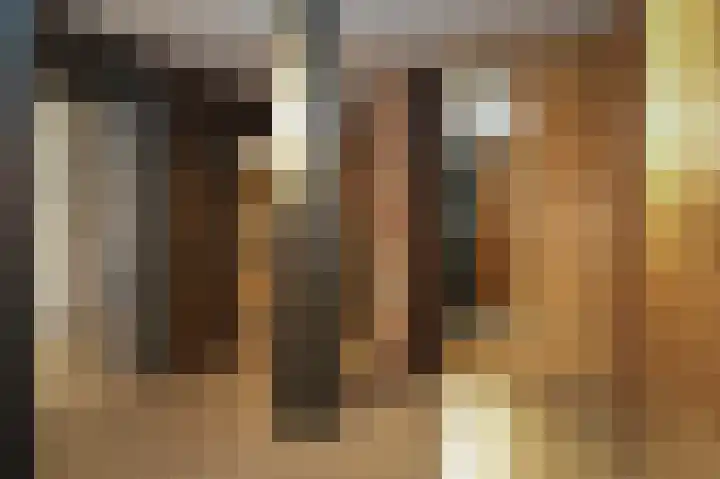 Achter het Stadhuis 4 A 's-Hertogenbosch thumbnail 16