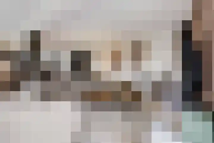 Achter het Tolhuis 1 Gronsveld thumbnail 11