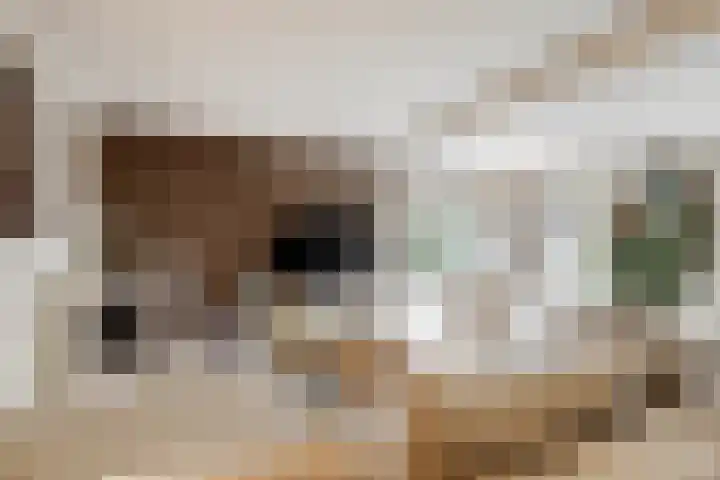 Achter het Tolhuis 1 Gronsveld thumbnail 12
