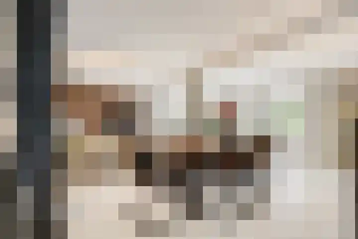 Achter het Tolhuis 1 Gronsveld thumbnail 14