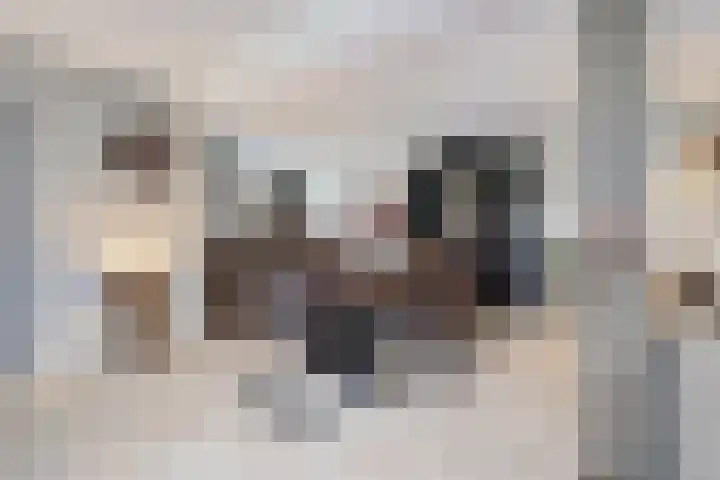 Achter het Tolhuis 1 Gronsveld thumbnail 15
