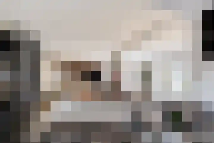 Achter het Tolhuis 1 Gronsveld thumbnail 17