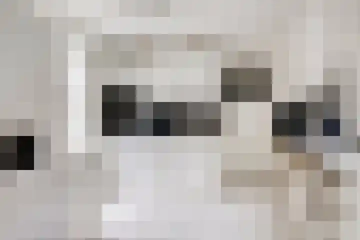 Achter het Tolhuis 1 Gronsveld thumbnail 19