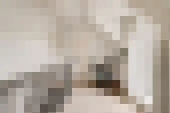Achter het Tolhuis 1 Gronsveld thumbnail 20