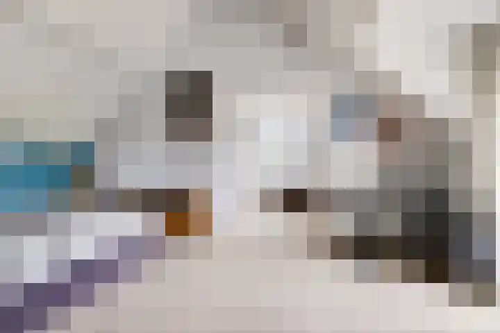 Achter het Tolhuis 1 Gronsveld thumbnail 24