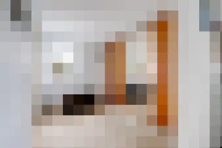 Achter het Tolhuis 1 Gronsveld thumbnail 27