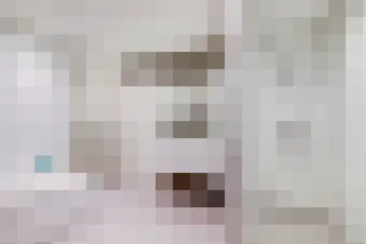 Achter het Tolhuis 1 Gronsveld thumbnail 30