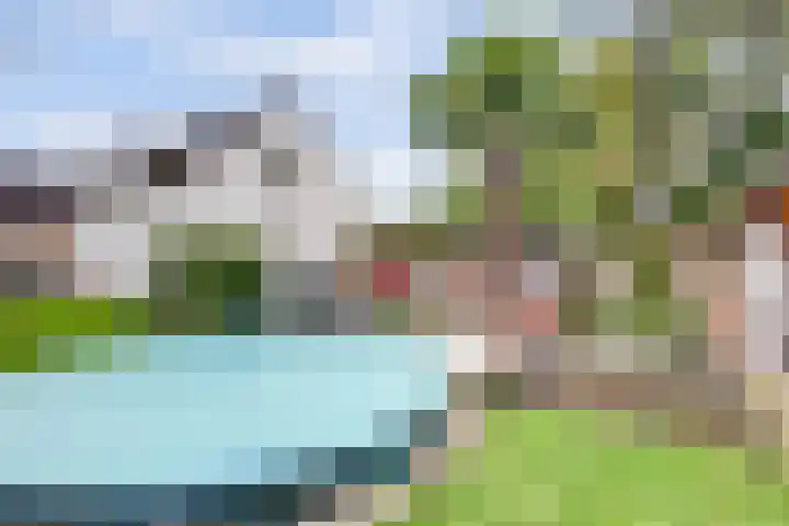 Achter het Tolhuis 1 Gronsveld thumbnail 37