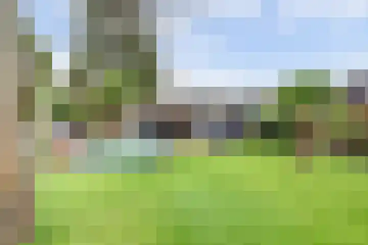 Achter het Tolhuis 1 Gronsveld thumbnail 38