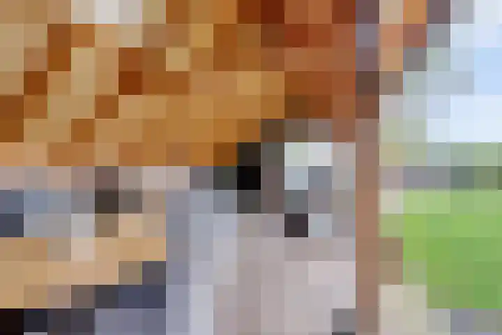 Achter het Tolhuis 1 Gronsveld thumbnail 41