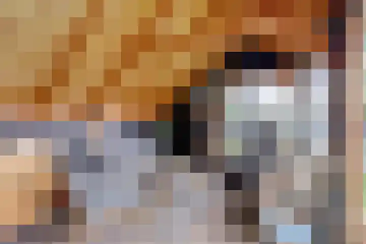Achter het Tolhuis 1 Gronsveld thumbnail 42