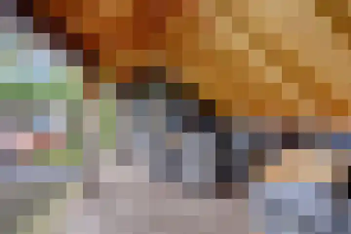 Achter het Tolhuis 1 Gronsveld thumbnail 43