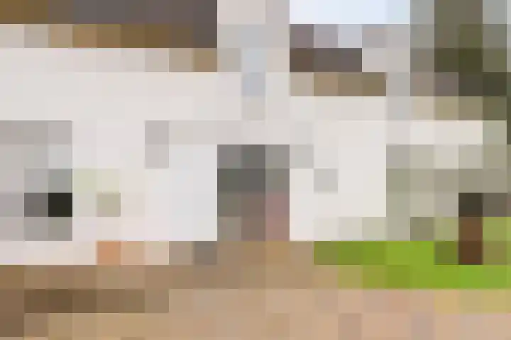 Achter het Tolhuis 1 Gronsveld thumbnail 6