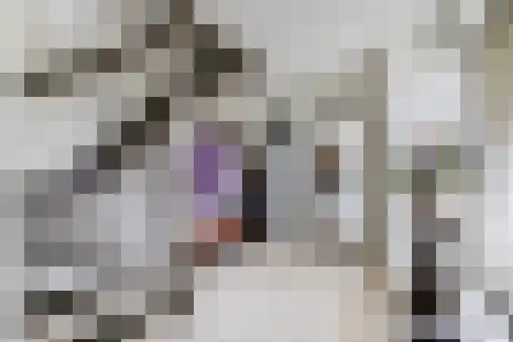 Achter het Tolhuis 1 Gronsveld thumbnail 7
