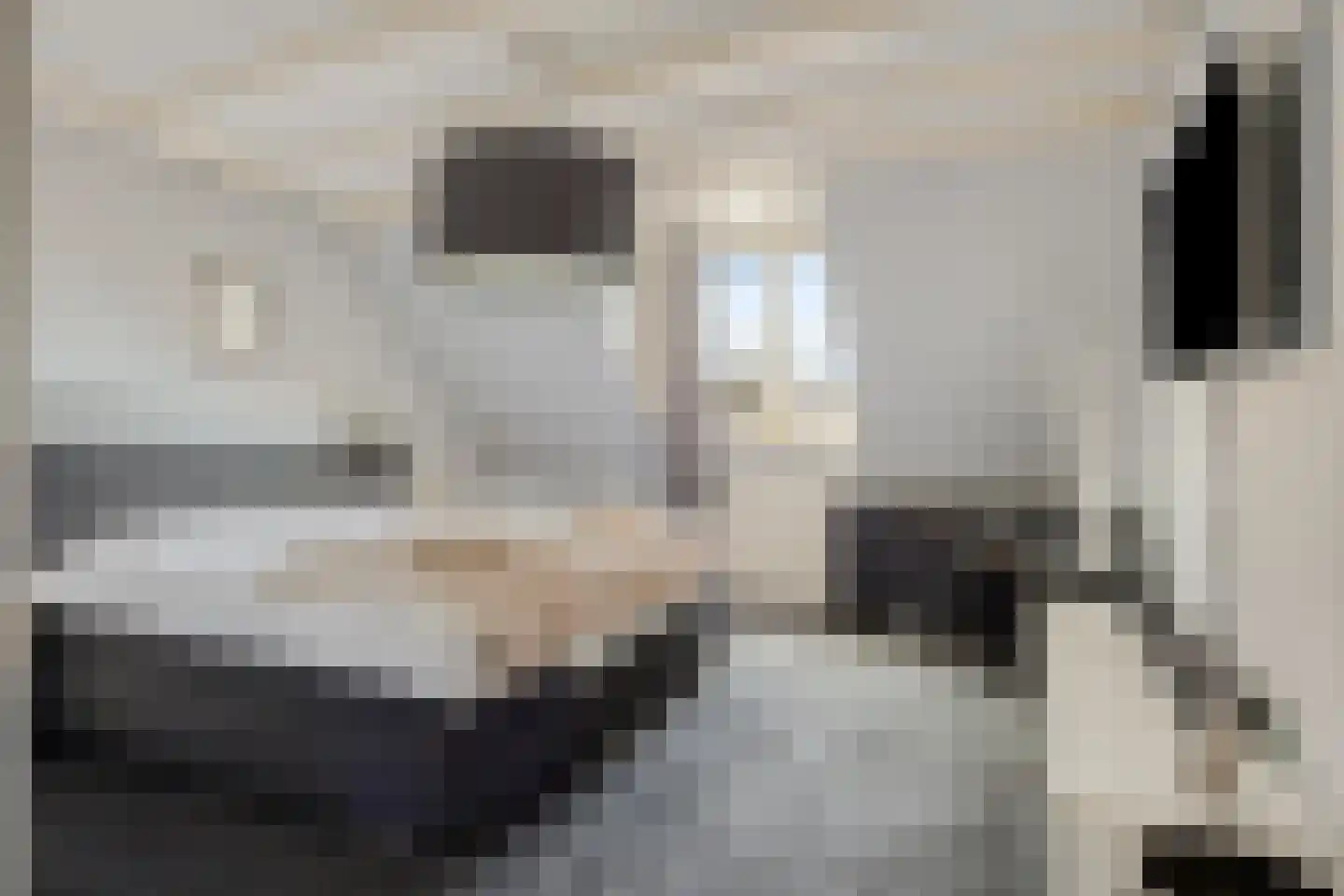 Achter het Verguld Harnas 3 B 's-Hertogenbosch thumbnail 15