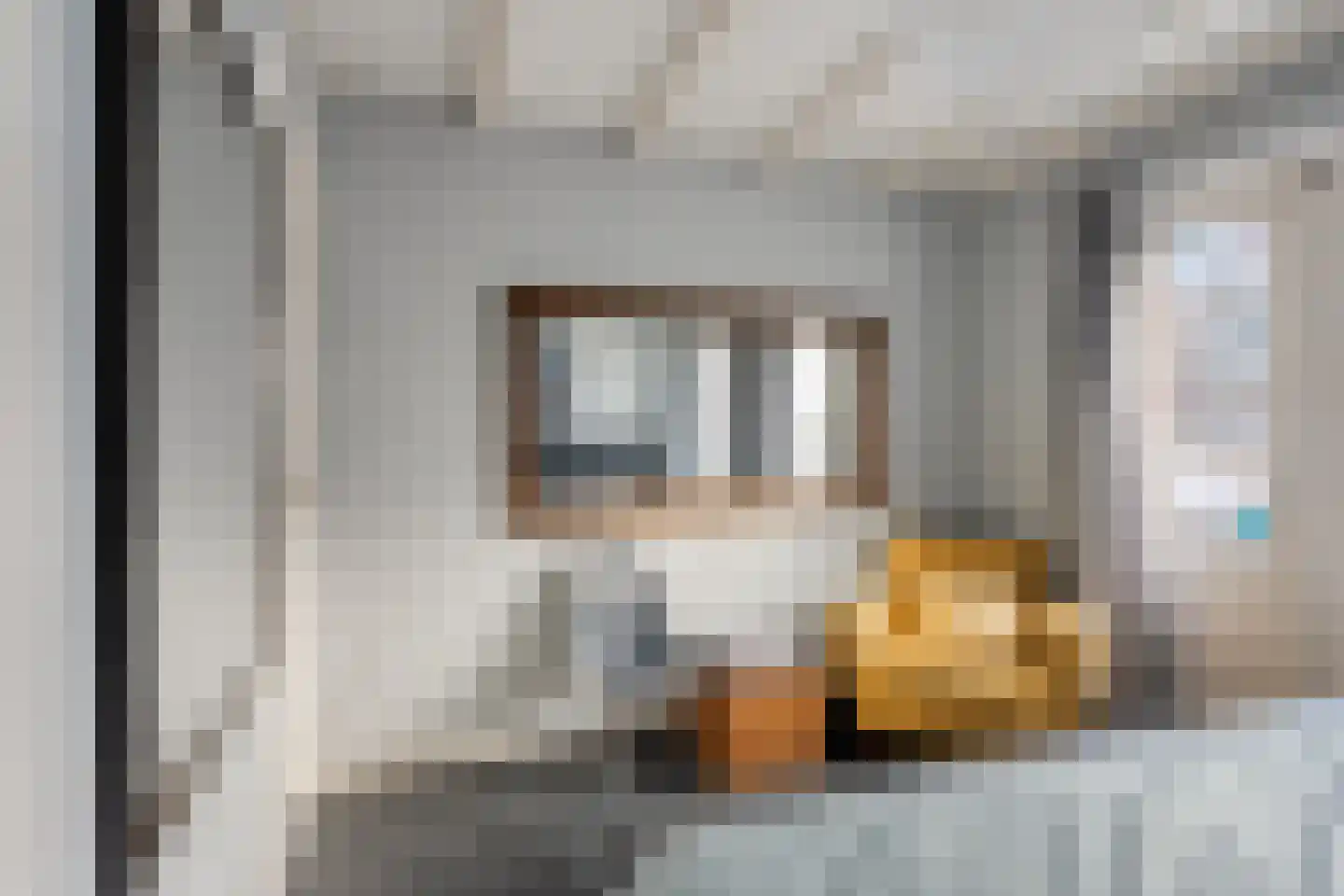 Achter het Verguld Harnas 3 B 's-Hertogenbosch thumbnail 20