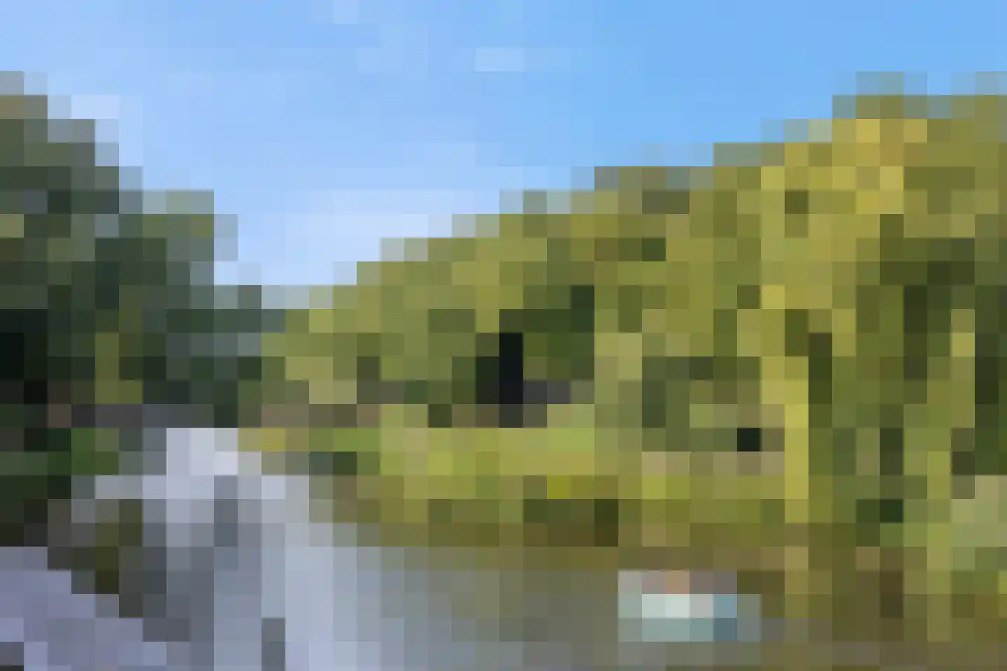 Achter het Verguld Harnas 3 B 's-Hertogenbosch thumbnail 32