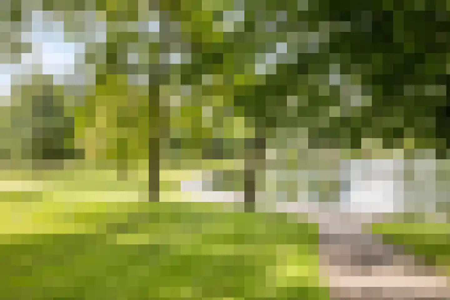 Achter het Verguld Harnas 3 B 's-Hertogenbosch thumbnail 33