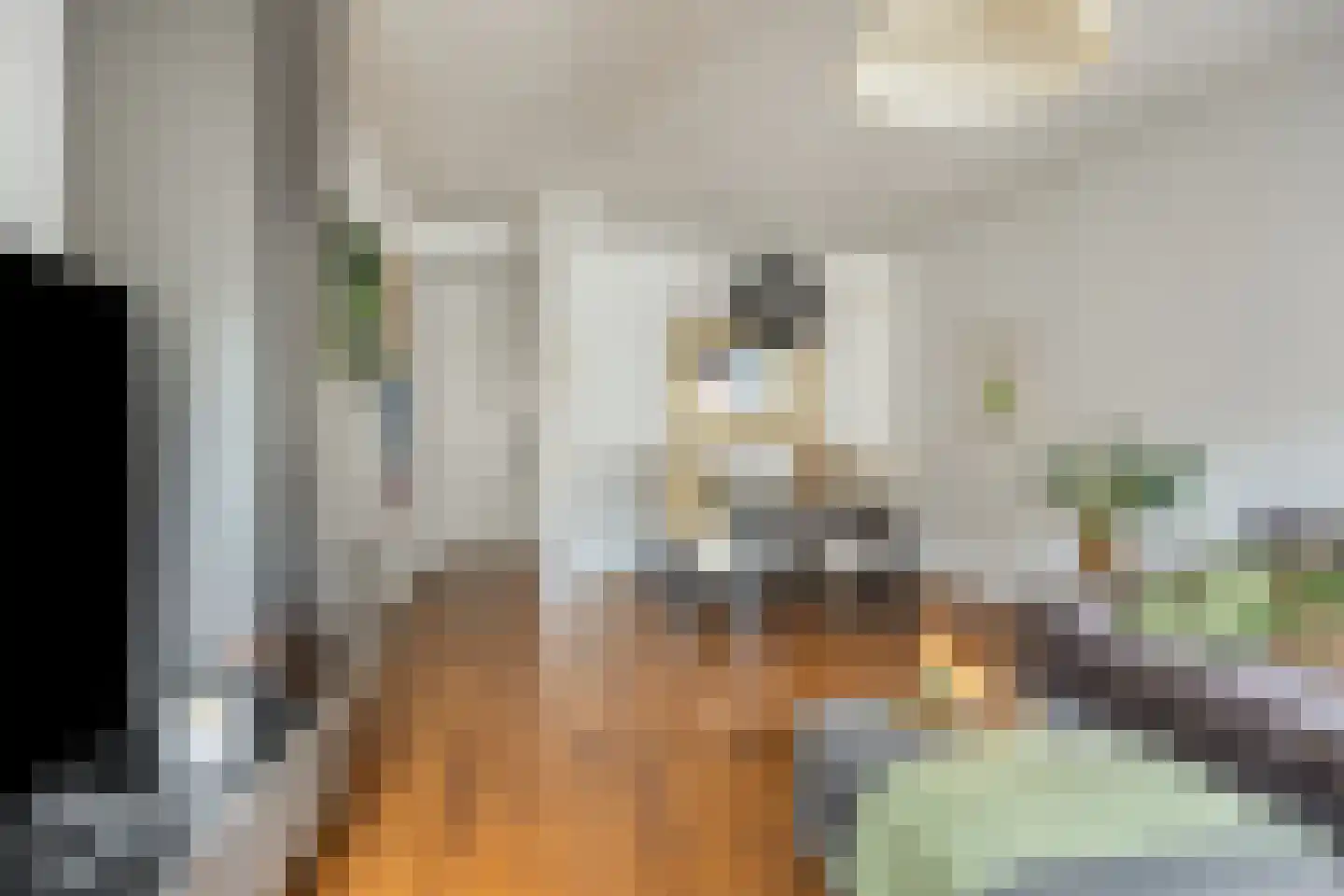 Achter het Verguld Harnas 3 B 's-Hertogenbosch thumbnail 8
