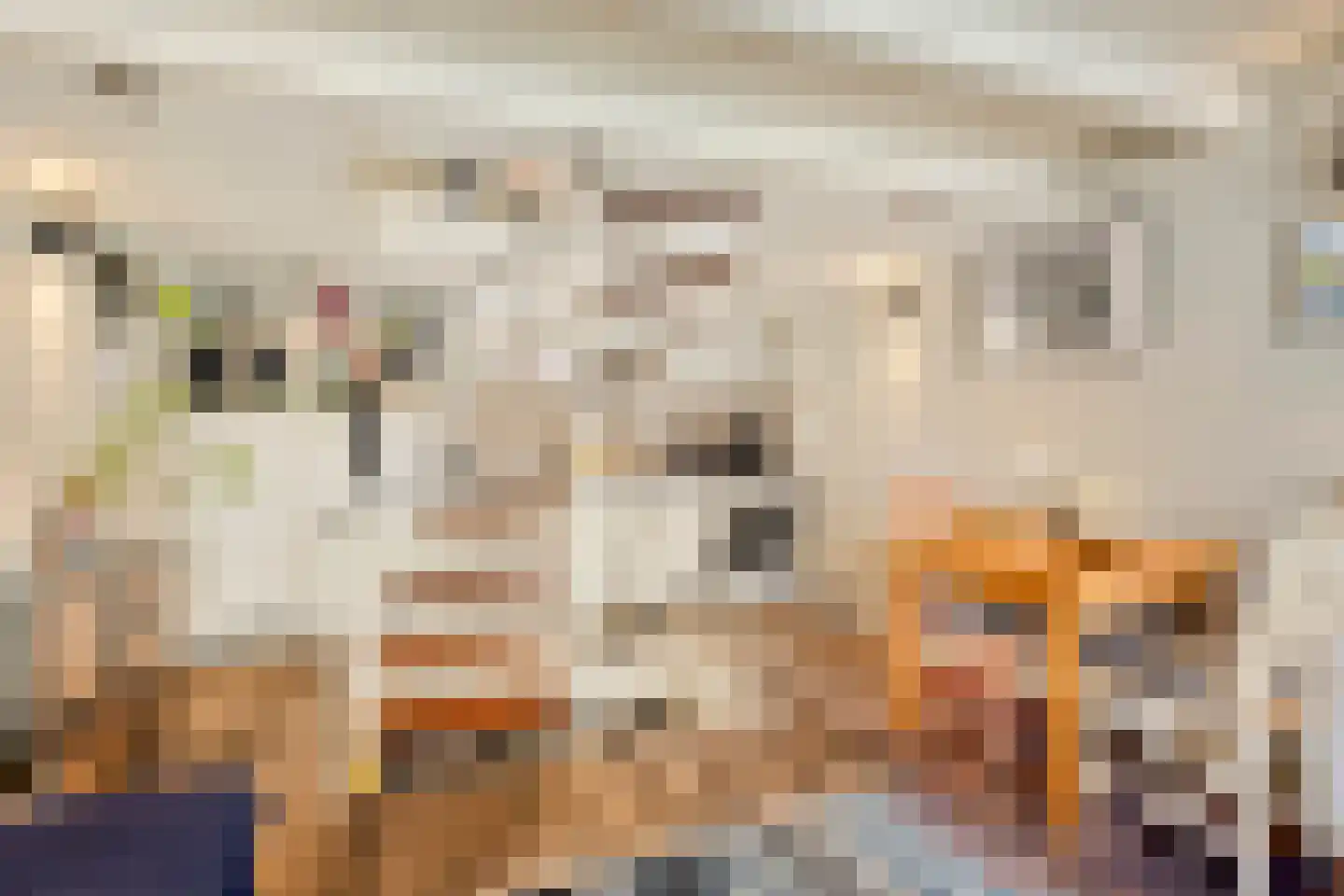Achter het Verguld Harnas 3 's-Hertogenbosch thumbnail 10