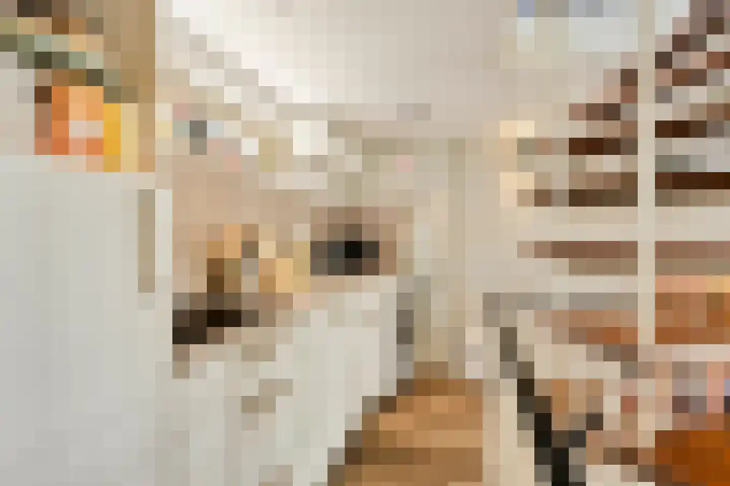 Achter het Verguld Harnas 3 's-Hertogenbosch thumbnail 12