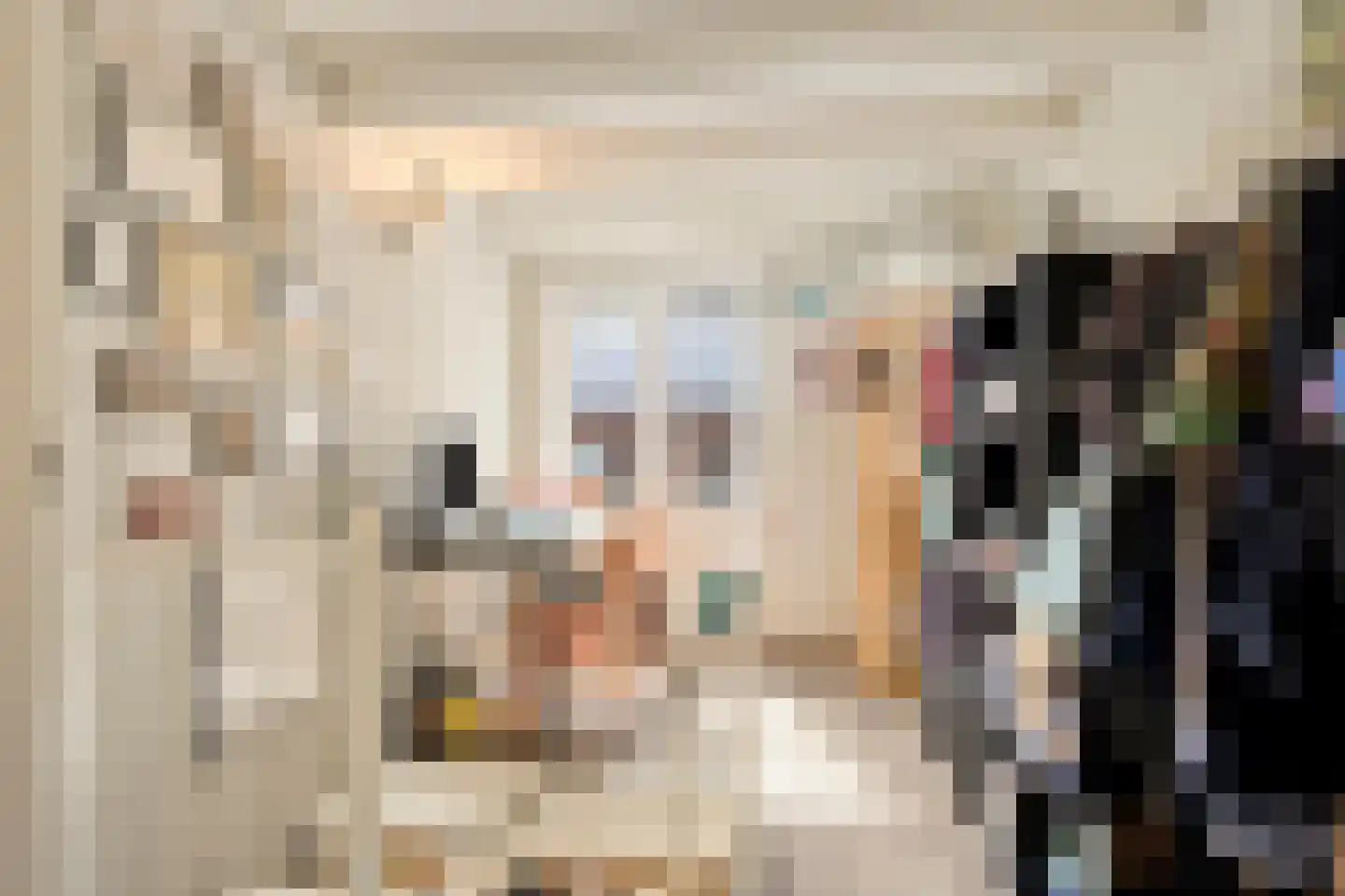 Achter het Verguld Harnas 3 's-Hertogenbosch thumbnail 13