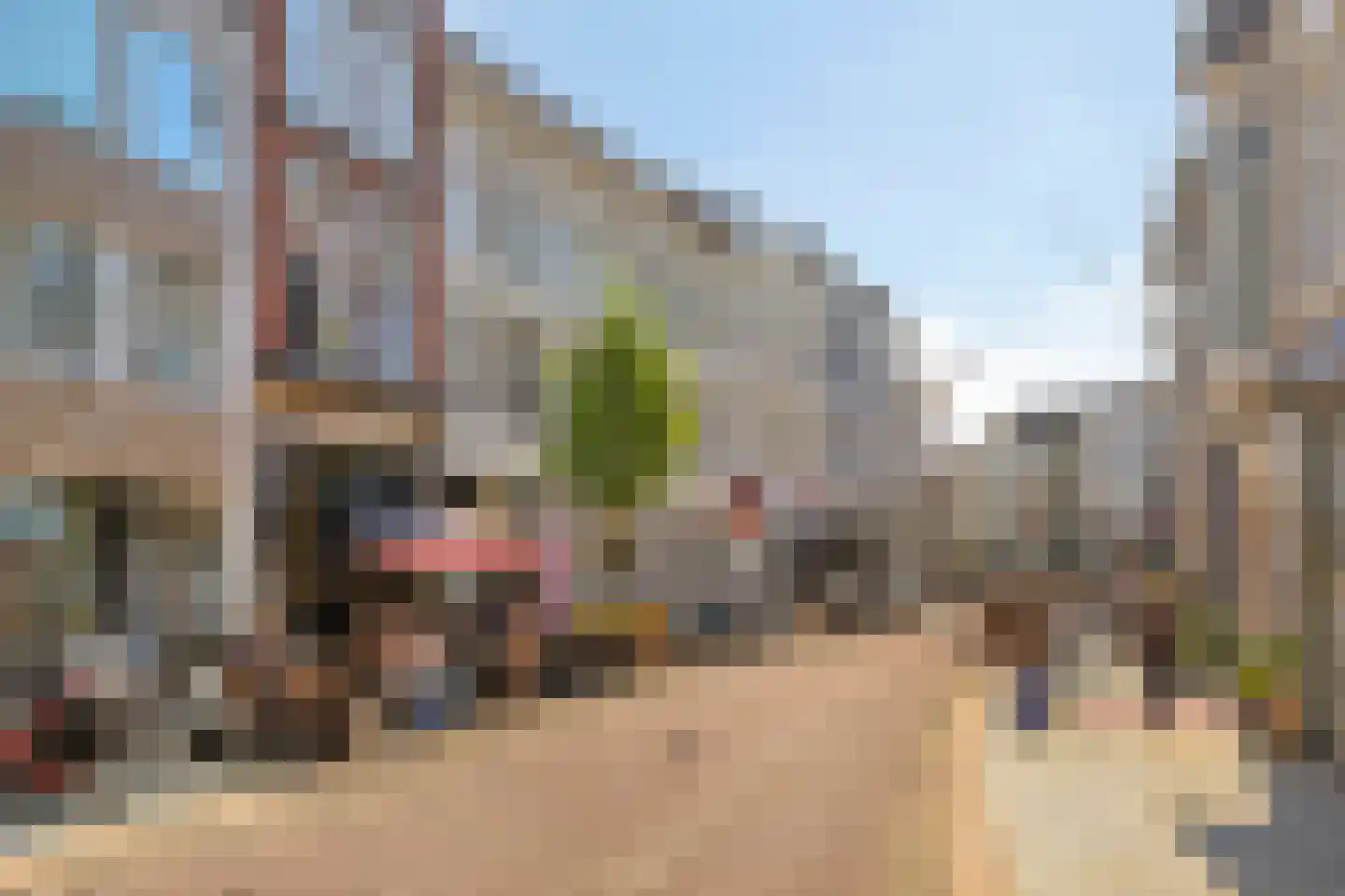 Achter het Verguld Harnas 3 's-Hertogenbosch thumbnail 24