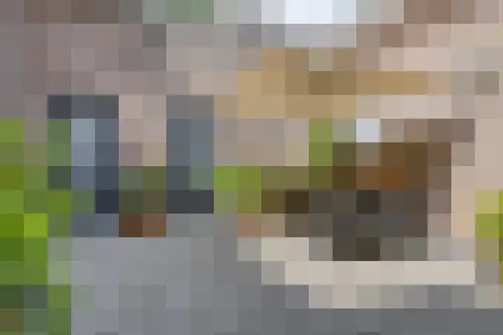 Achter het Wild Varken 14 's-Hertogenbosch thumbnail 7