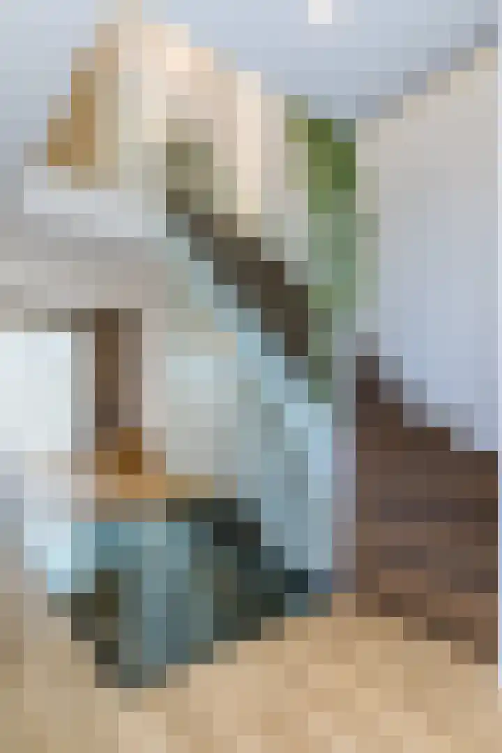 Achter Lotsheuf 23 Banholt thumbnail 17