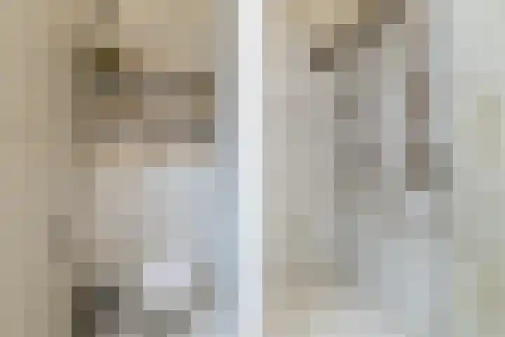 Achter Lotsheuf 23 Banholt thumbnail 30