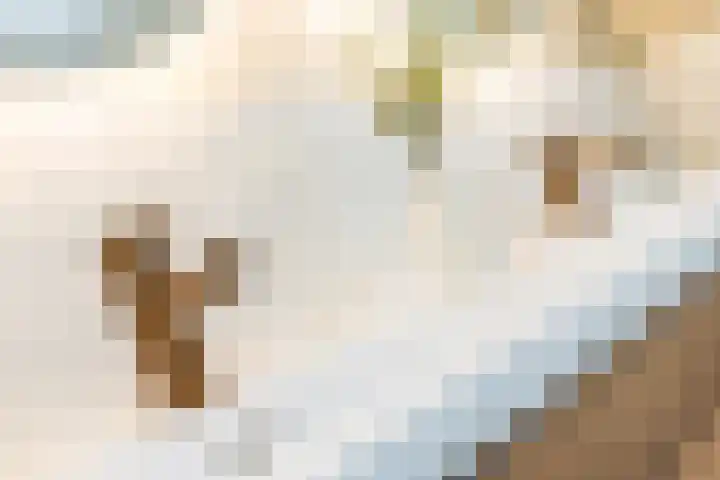 Achter Lotsheuf 23 Banholt thumbnail 32