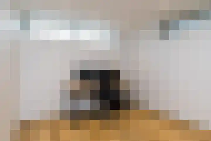 Achter Lotsheuf 23 Banholt thumbnail 39