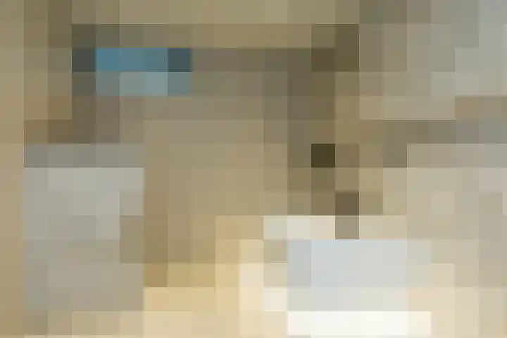 Achter Lotsheuf 23 Banholt thumbnail 40