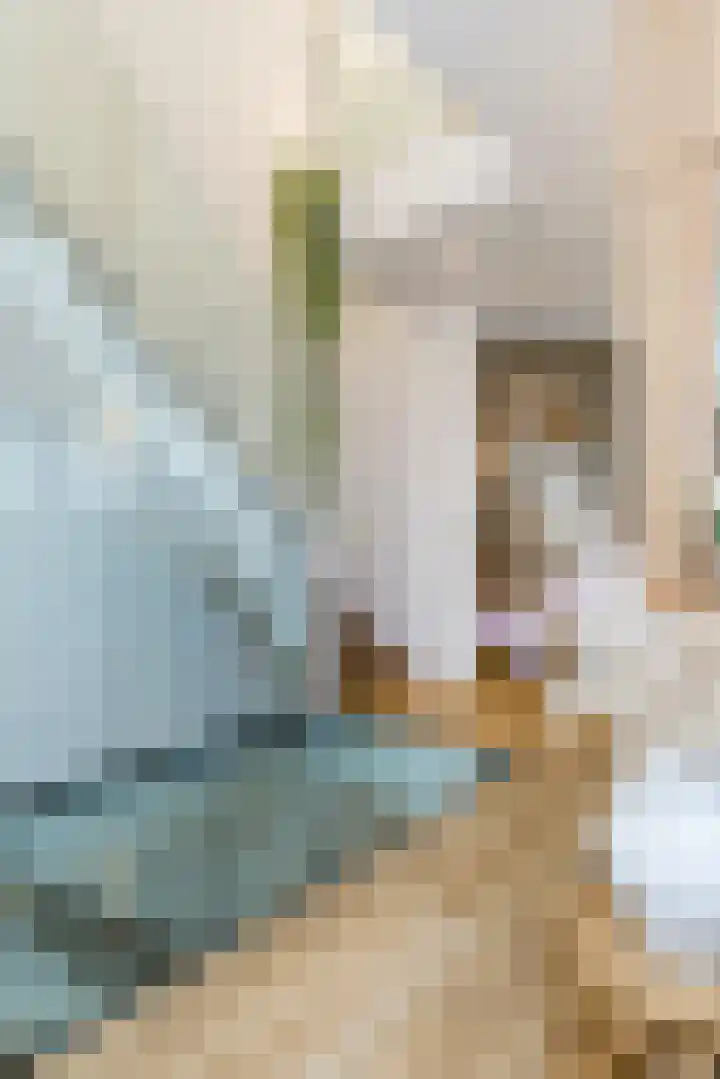 Achter Lotsheuf 23 Banholt thumbnail 9