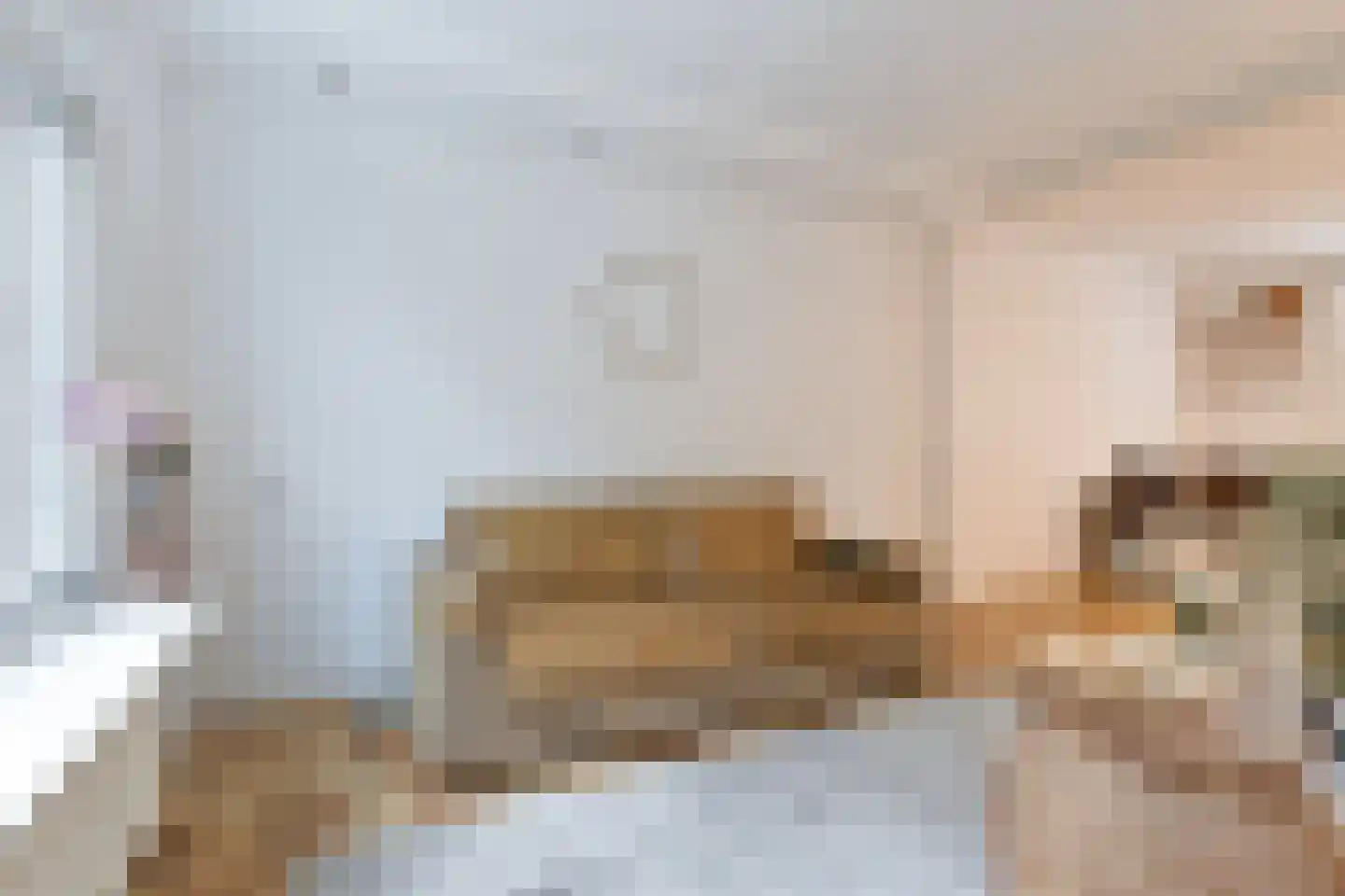 Achter Nieuwstraat 13 Bodegraven thumbnail 12
