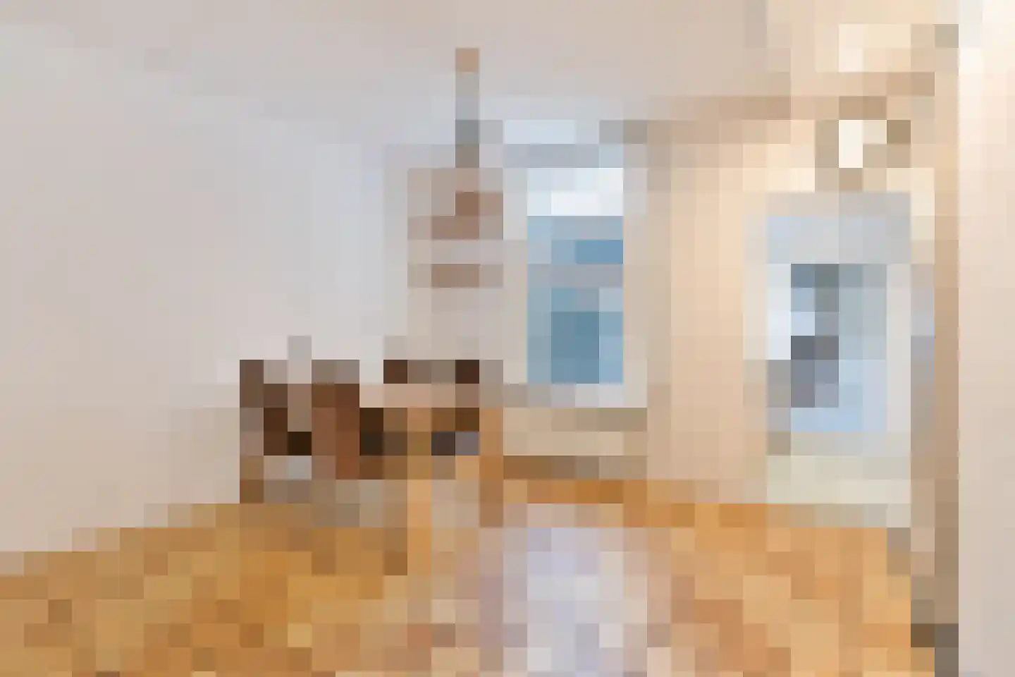 Achter Nieuwstraat 13 Bodegraven thumbnail 13