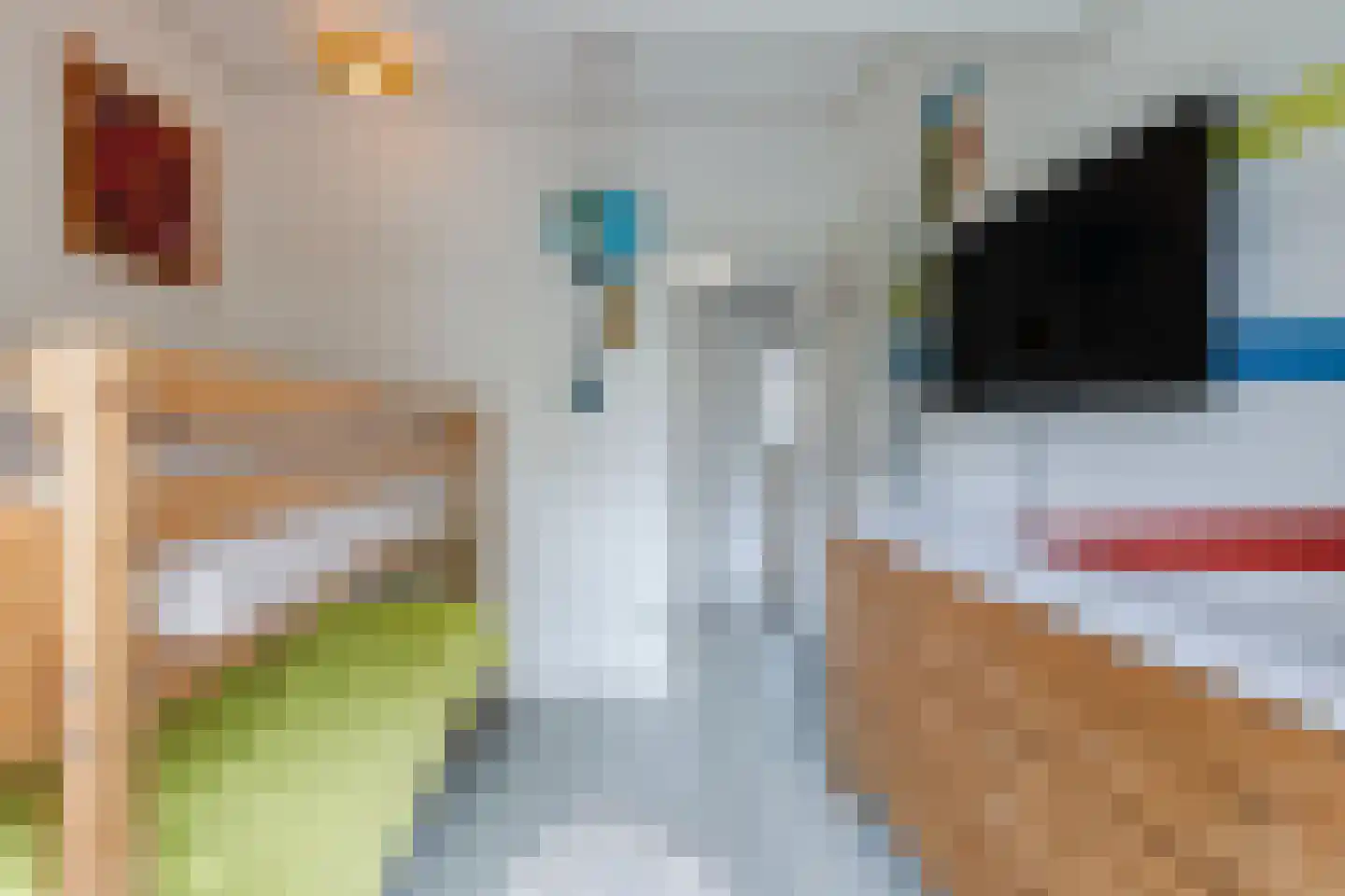 Achter Nieuwstraat 13 Bodegraven thumbnail 15