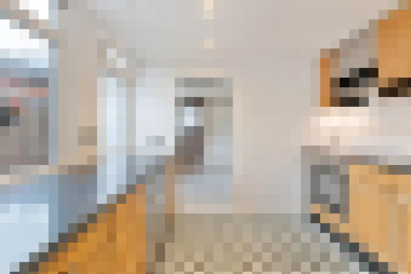 Achter Nieuwstraat 13 Bodegraven thumbnail 20