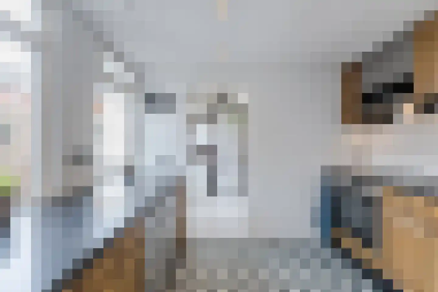 Achter Nieuwstraat 13 Bodegraven thumbnail 21