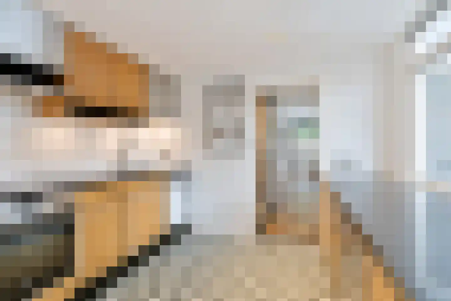 Achter Nieuwstraat 13 Bodegraven thumbnail 22