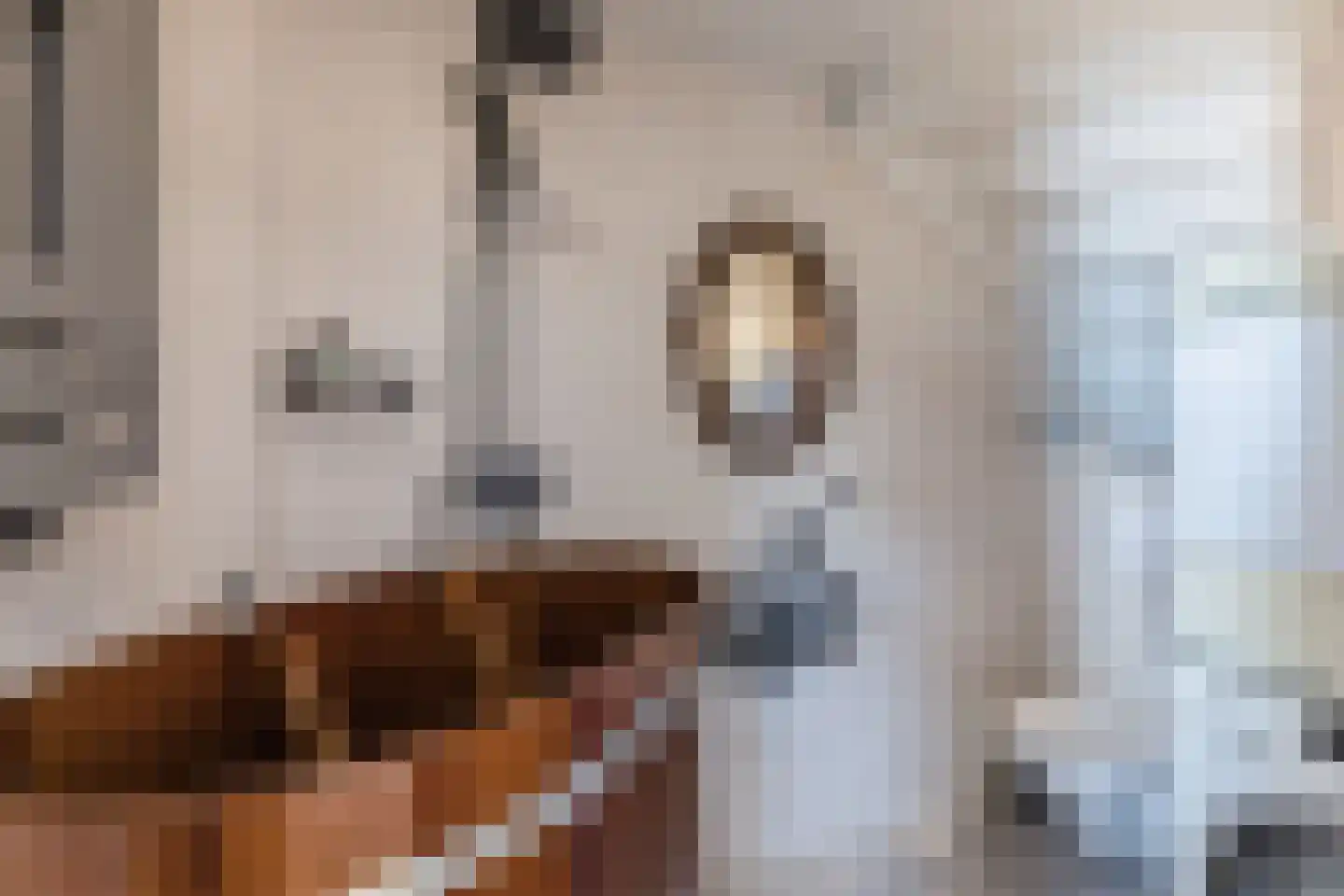 Achter Nieuwstraat 13 Bodegraven thumbnail 24