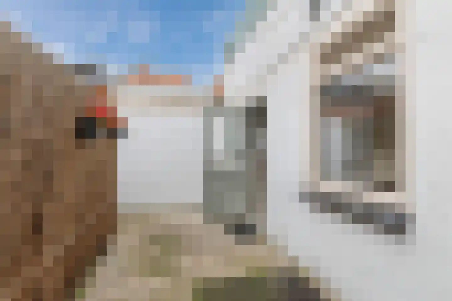 Achter Nieuwstraat 13 Bodegraven thumbnail 39