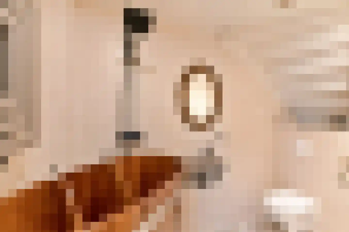 Achter Nieuwstraat 13 Bodegraven thumbnail 5