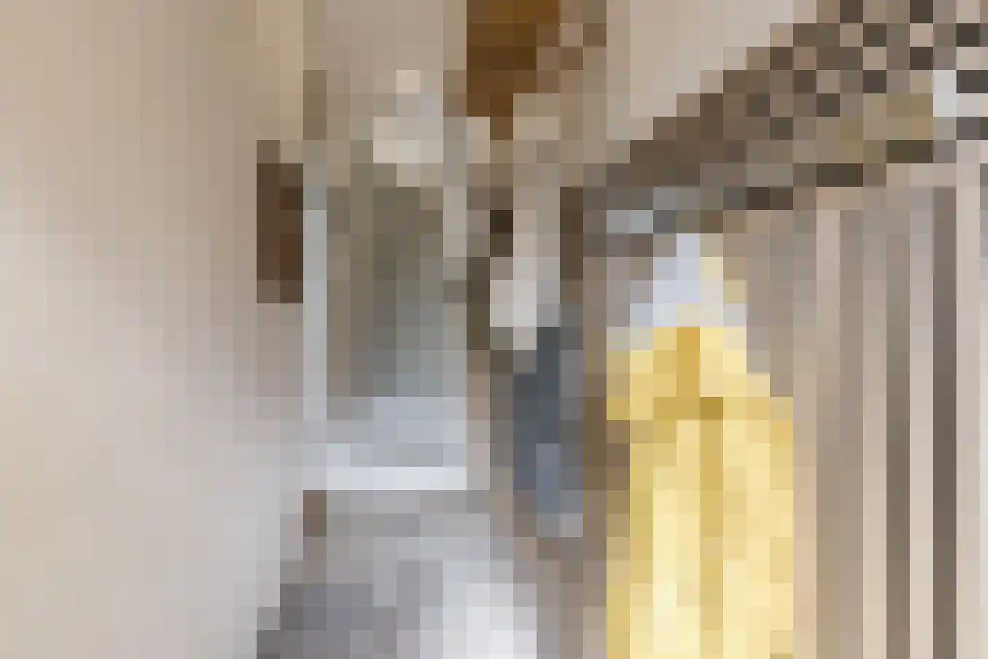 Achter Nieuwstraat 13 Bodegraven thumbnail 7