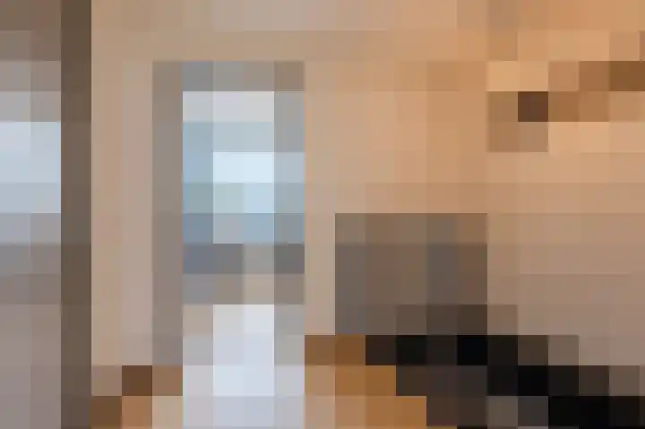 Achter Nieuwstraat 9 Bodegraven thumbnail 23