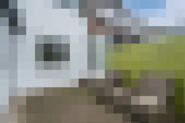 Achter Nieuwstraat 9 Bodegraven thumbnail 25