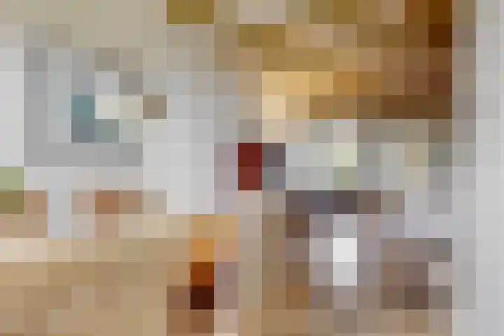 Achter op 't Zand 16 Hoorn thumbnail 11