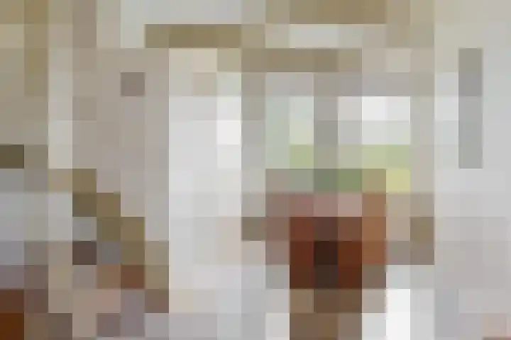 Achter op 't Zand 16 Hoorn thumbnail 16