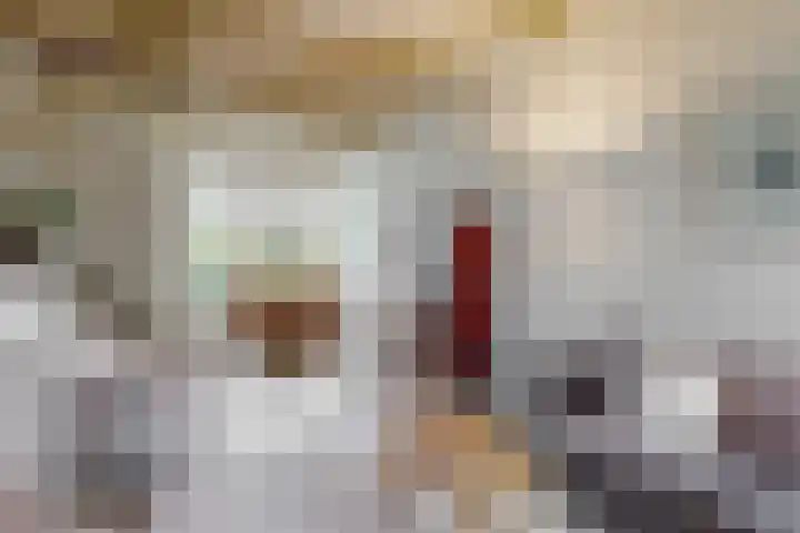 Achter op 't Zand 16 Hoorn thumbnail 17