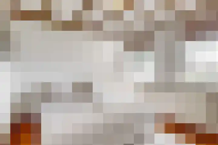 Achter op 't Zand 16 Hoorn thumbnail 22